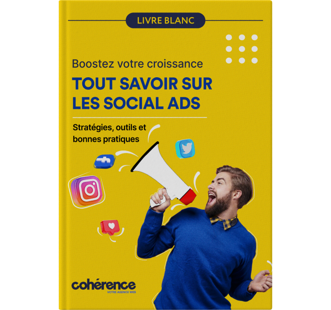 Coherence Agence Web A Rennes Les Social Ads Pour Les TPE PME